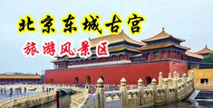 中国大鸡巴搞美女中国北京-东城古宫旅游风景区